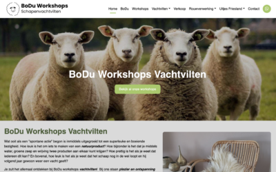 BoDu: van onzichtbaar naar bovenaan in AI zoekmachines